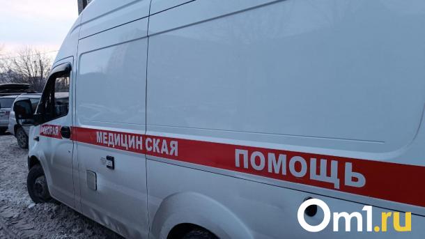 Развлекательный парк в Омске заплатит семье за сломанную руку ребёнка