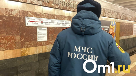 Мёртвого 40-летнего мужчину нашли под завалами сгоревшего дома в Новосибирске
