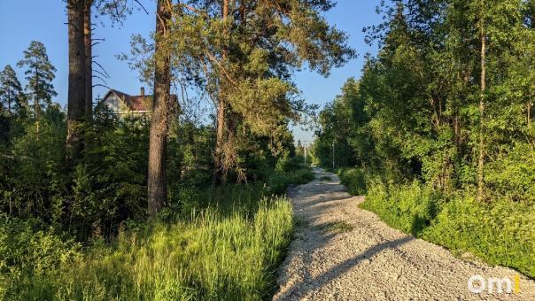 В Омской области стартует крупный сезон охоты
