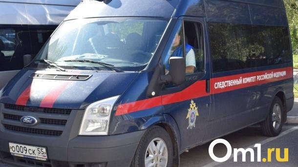 Бастрыкин потребовал возбудить дело из-за мигрантов, которые угрожают семье новосибирцев