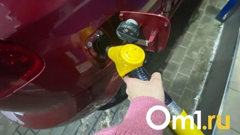 В Омске вновь выросли цены на бензин