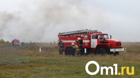 Омичей теперь могут оштрафовать на миллион за нарушение пожарной безопасности в лесах