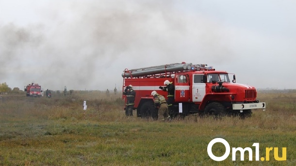 Омичей теперь могут оштрафовать на миллион за нарушение пожарной безопасности в лесах
