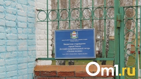Приехали в Омск и живут у родственников. Беженцев с Украины пока не заселяют в детские лагеря