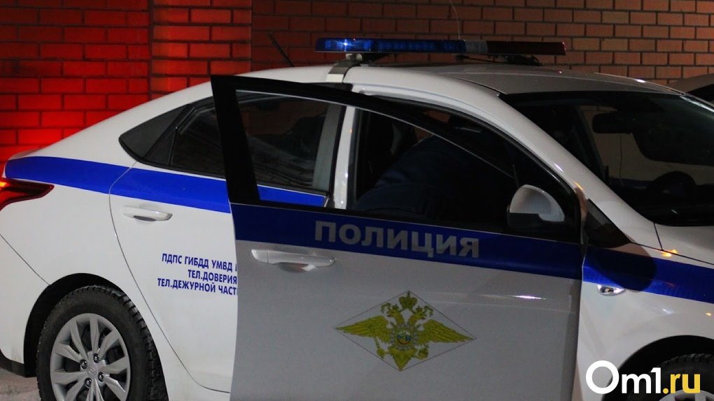 Под Омском задержали пьяного водителя на угнанной машине