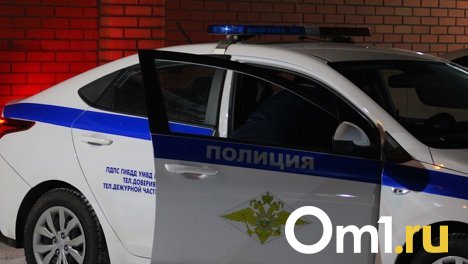 Под Омском задержали пьяного водителя на угнанной машине