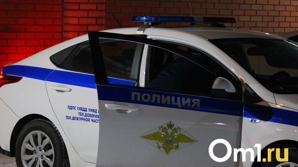 Под Омском задержали пьяного водителя на угнанной машине