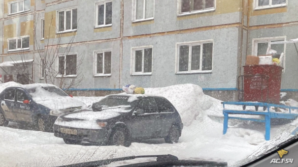 В Новосибирске жильцы дома выбросили мусор на крышу неправильно припаркованной машины