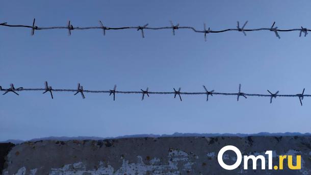 В Омске осудили человека, снабжавшего наркотиками два района