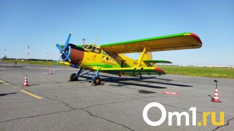 Из-за тумана в Омске задержался самолёт в Усть-Ишим