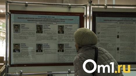Стало известно распределение депутатских мандатов Омского горсовета