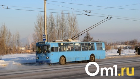 Омичи возвращались с работы на троллейбусе вместе с мертвецом