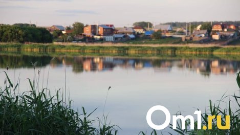 В Омской области на озере утонул мужчина