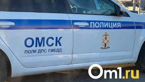В Омске ребёнок перебегал дорогу и попал под машину