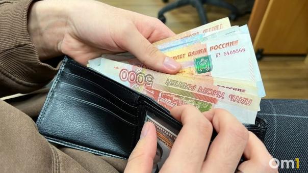 Самозанятые омичи заработали за год 7 миллиардов рублей
