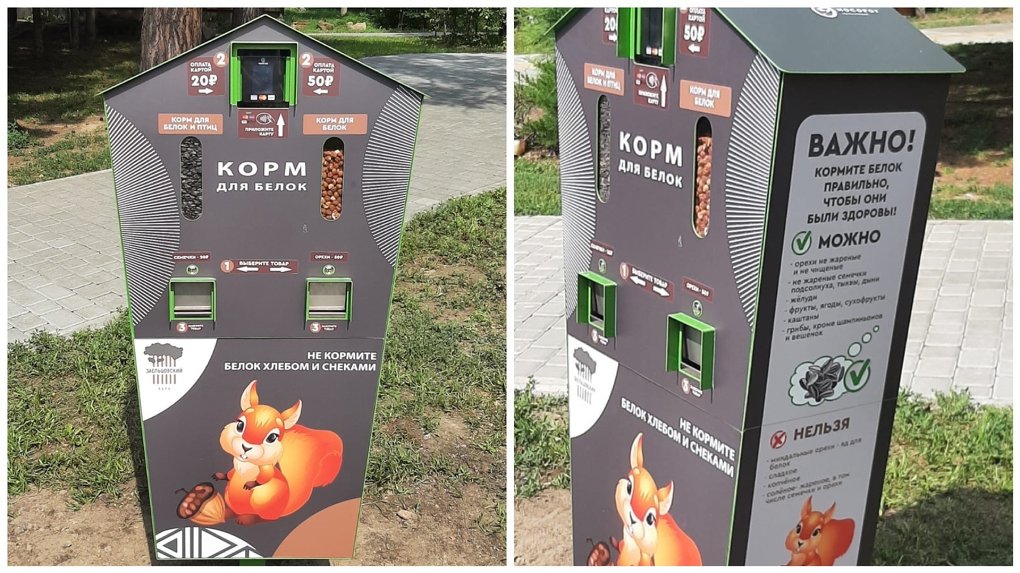 Автоматы с кормом для белок и птиц стали появляться в парках Новосибирска