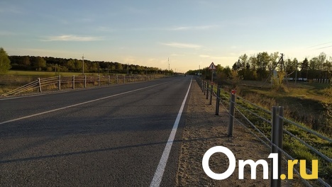 Омич на «Ладе» перевернулся в кювет