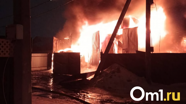 В омском СНТ «Ромашка» при страшном пожаре погибли два человека