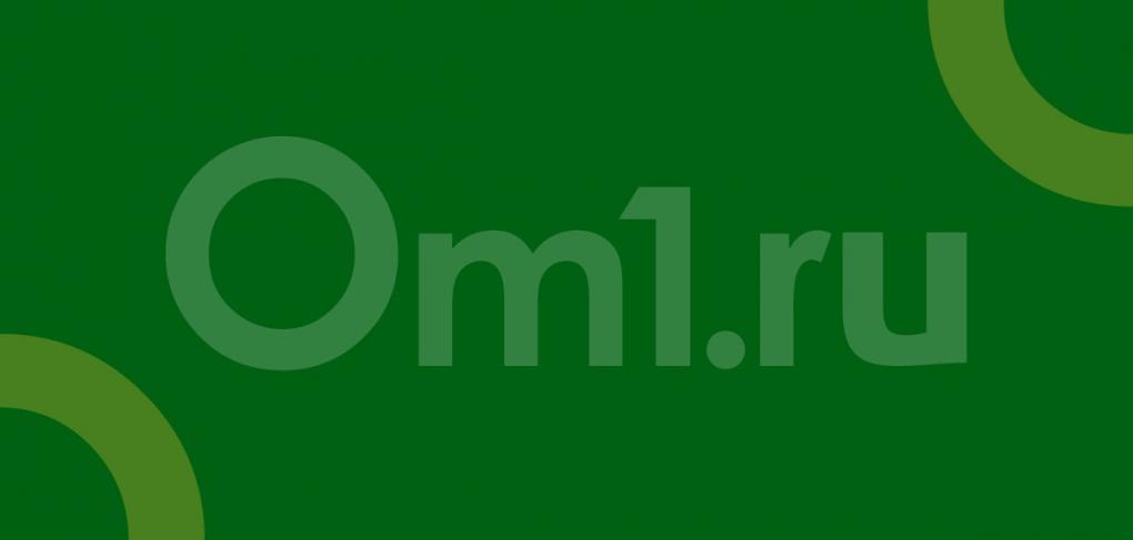 Младенец скончался после шести часов в реанимации с пьяным врачом в новосибирской больнице