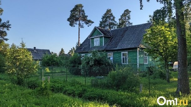Омский пенсионер умер на даче, ранив себя электропилой