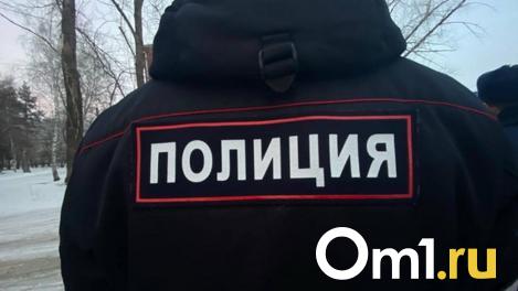 Омичи покупали подарок внуку и потеряли более 200 тысяч рублей