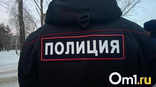 Омичи покупали подарок внуку и потеряли более 200 тысяч рублей