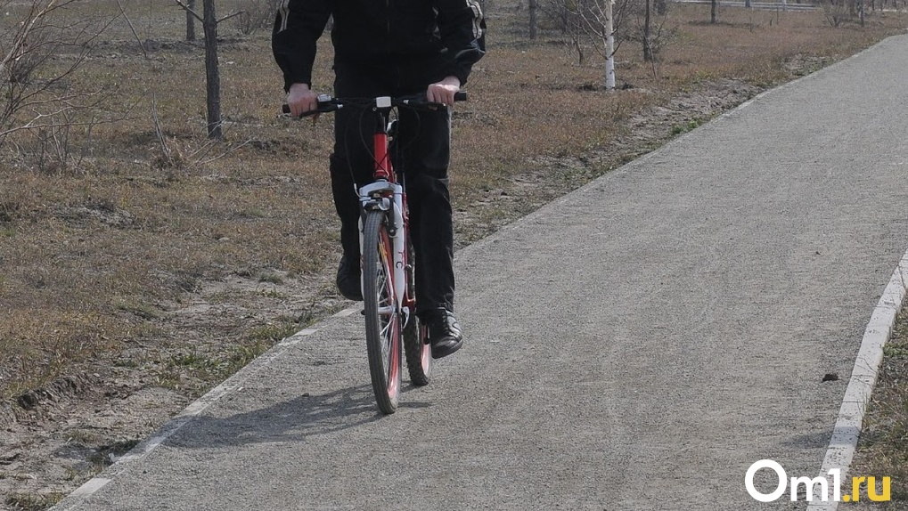 Кататься опасно. В Омской области насмерть сбили мужчину на велосипеде