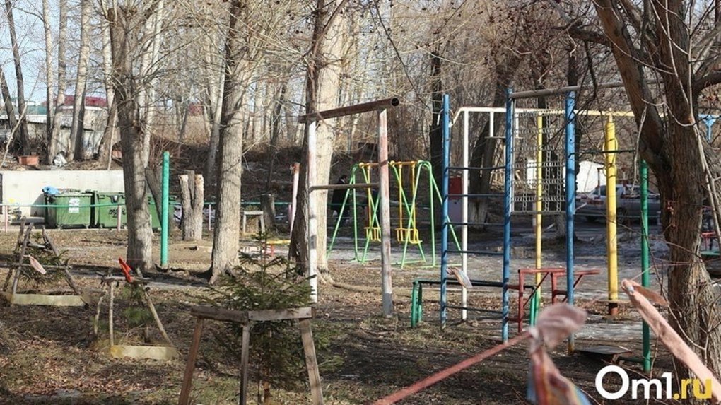 В Омске на детскую площадку забежал лось. ВИДЕО