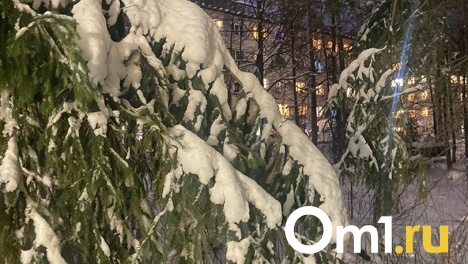 Снегопад и метели ожидают новосибирцев на предновогодних выходных