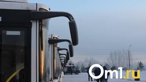 В Омске маршрут № 95 будет курсировать по новому расписанию