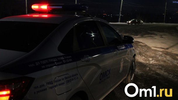 В Новосибирске водитель пикапа сбил 8-летнюю девочку на велосипеде