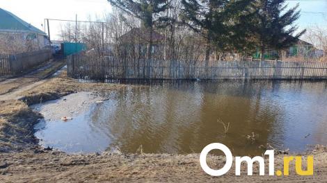 В районе Омской области затопило семь домов и 24 участка — МЧС устраняет последствия