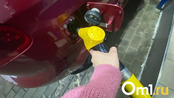 В Омске на АЗС подорожал бензин