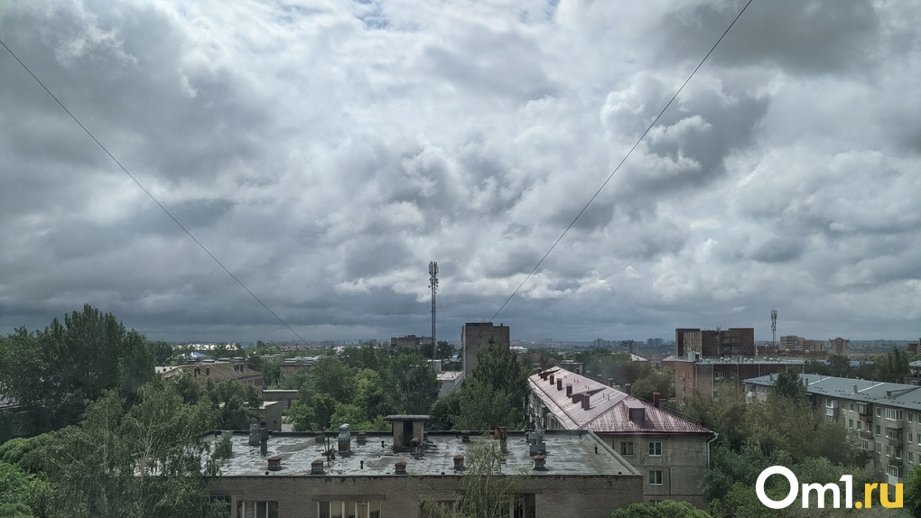 Рабочая неделя в Омской области начнётся с грозы и града