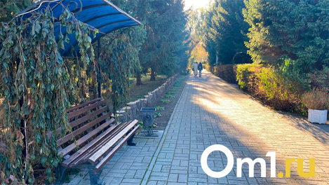 Плохая связь, низкие цены и душевные застолья: новосибирец откровенно рассказал о жизни в Казахстане