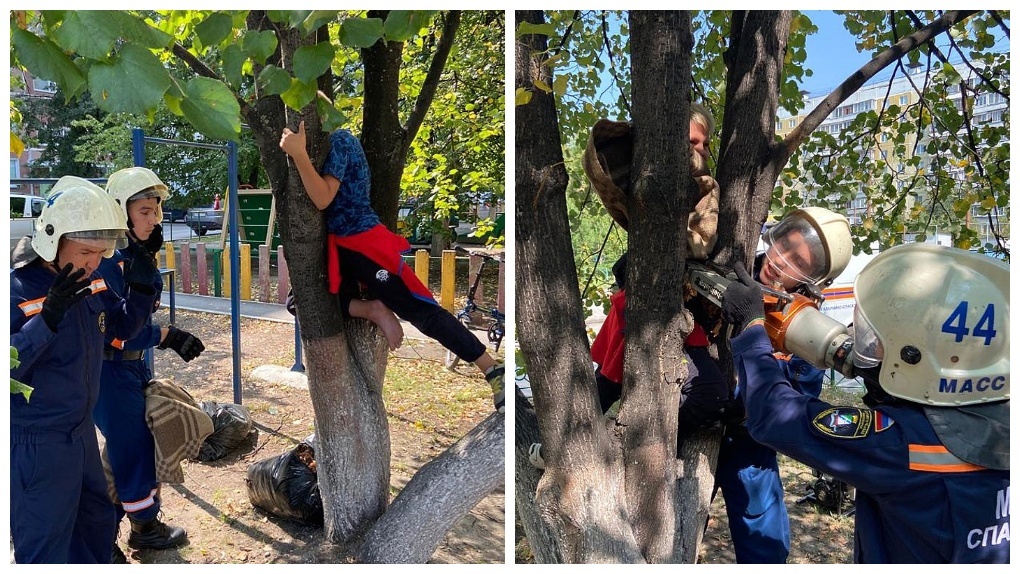 Мальчик застрял в дереве во время игры в Новосибирске