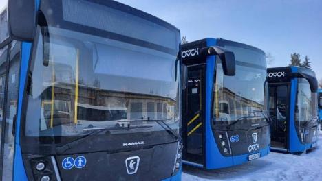 Омской области выделили более 253 миллионов на организацию транспортного обслуживания населения в районах