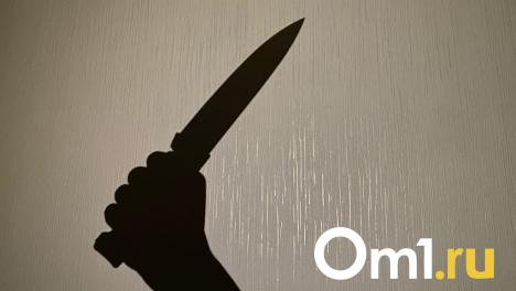 В Омской области нашли тело пожилого мужчины с ножевыми ранениями