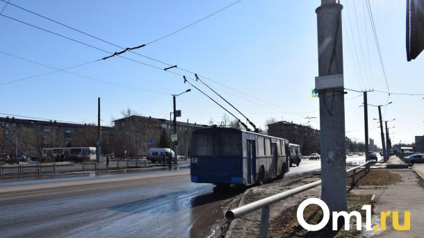 В Омске из-за подтопления сокращают маршруты троллейбусов