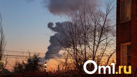 На омских предприятиях за два месяца нашли 200 нарушений, связанных с выбросами