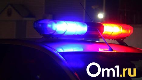 Два омских студента украли с предприятия более 100 килограммов металла