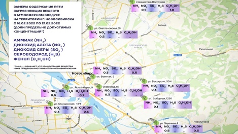 Чище, чем думали? Девять самых грязных мест проверили в Новосибирске