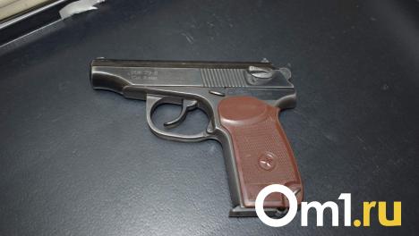 Пьяные подростки открыли стрельбу по омичке с младенцем