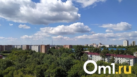 «Омский каучук» прекратил повышенные выбросы ацетона и аммиака