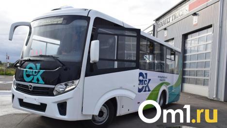 Для Омской области приобрели новые автобусы для межмуниципальных маршрутов