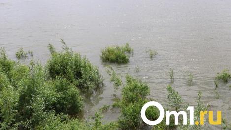 В Омской области отменён режим повышенной готовности из-за паводка