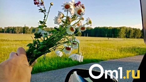 Когда наступит лето? Синоптики предсказали дату окончания дождей в Омске