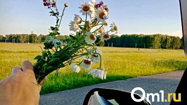 Когда наступит лето? Синоптики предсказали дату окончания дождей в Омске