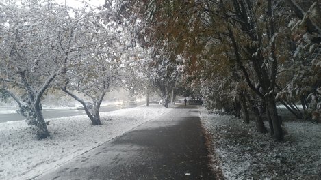 Новосибирец отсудил у мэрии 660 тысяч рублей за падение на тротуаре из-за гололёда