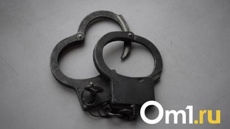 В Омске задержали первых подозреваемых по статье о мошенничестве при строительстве школы в Исилькуле